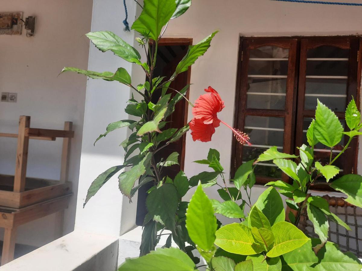 Ames Nungwi Acomodação com café da manhã Exterior foto