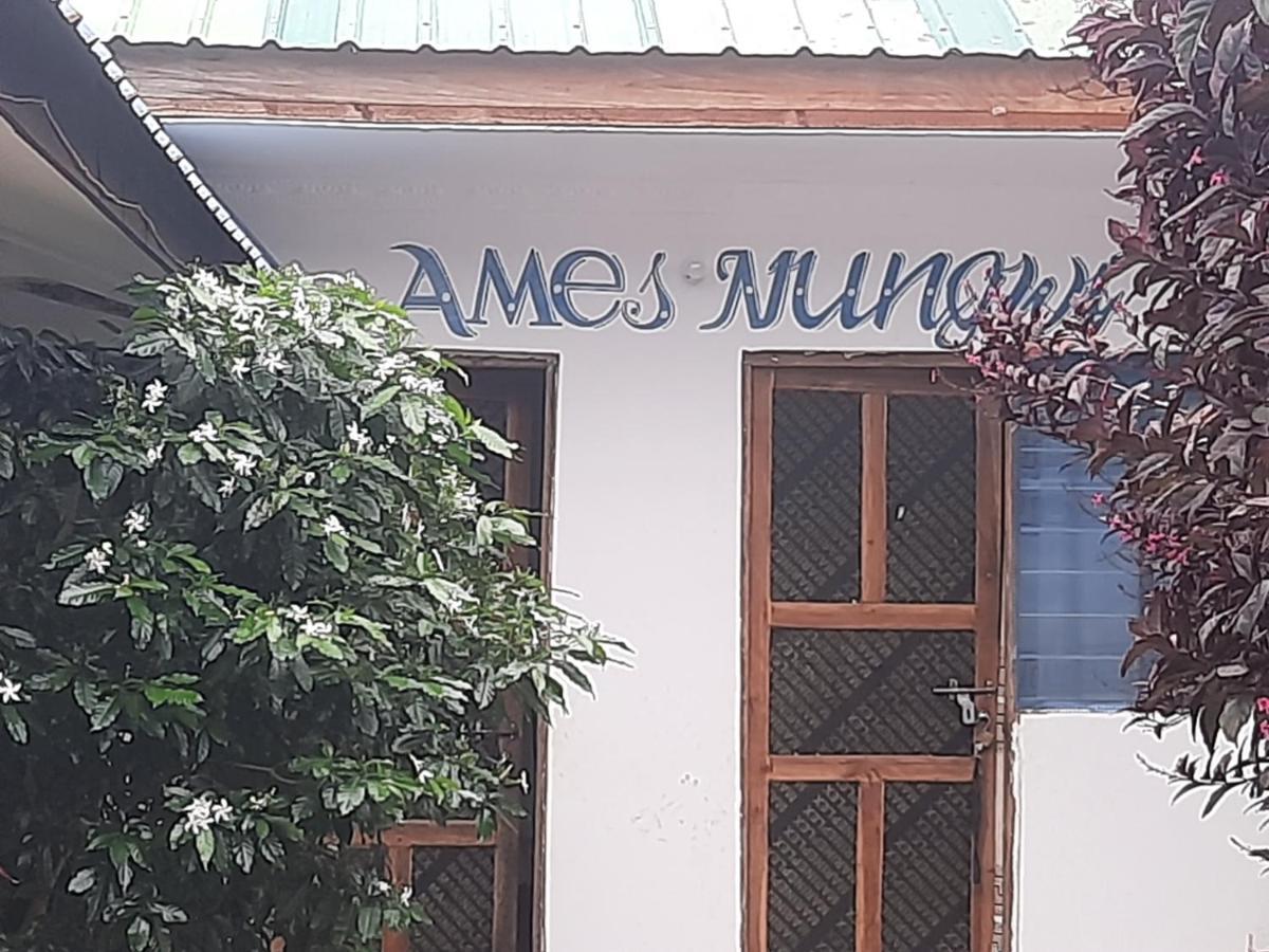 Ames Nungwi Acomodação com café da manhã Exterior foto