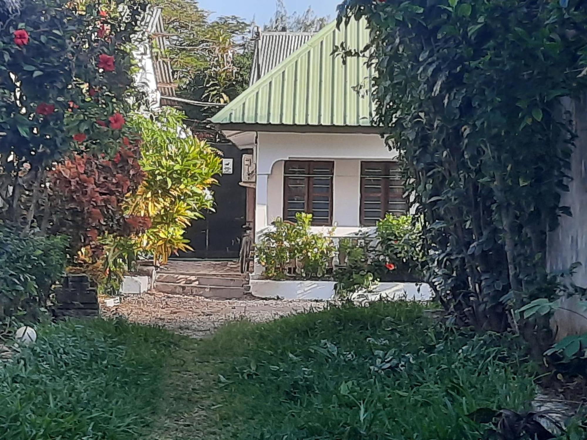 Ames Nungwi Acomodação com café da manhã Exterior foto